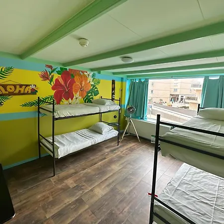 The Flying Pig Beach Hostel-3